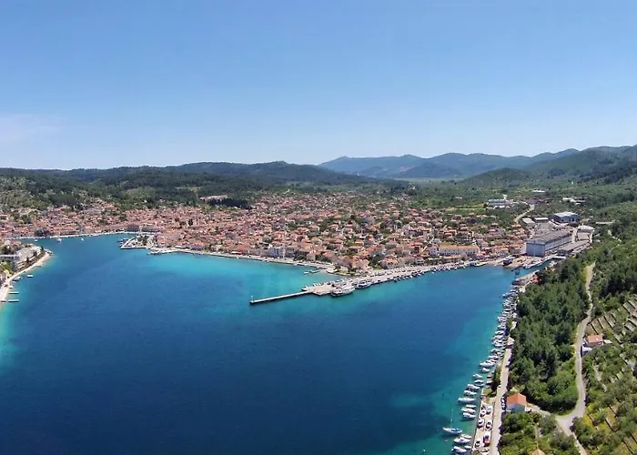 House With A Parking Space Vela Luka, Korcula - 21165 펜션 벨라루카